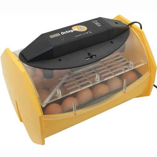 kebonnixs 12 egg incubator