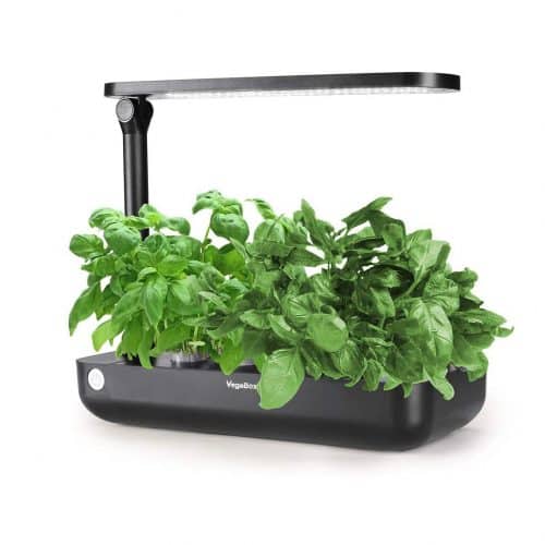 Top 10 Best Hydroponic Herb Gardens in 2023 Reviews | Buyer's Guide