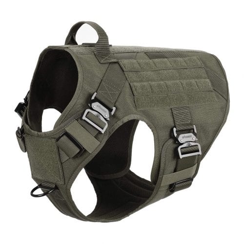 Top 10 Best Tactical Dog Harness in 2023 Reviews | Buyer's Guide